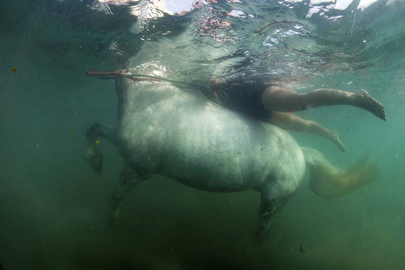 underwater_greg_original